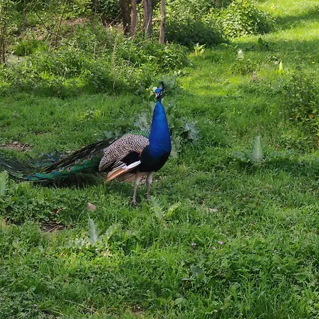 Tipi Dakota Des Monteaux