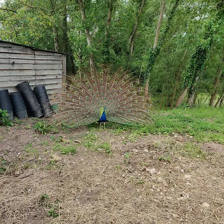 Tipi Dakota Des Monteaux Chalet Vivy