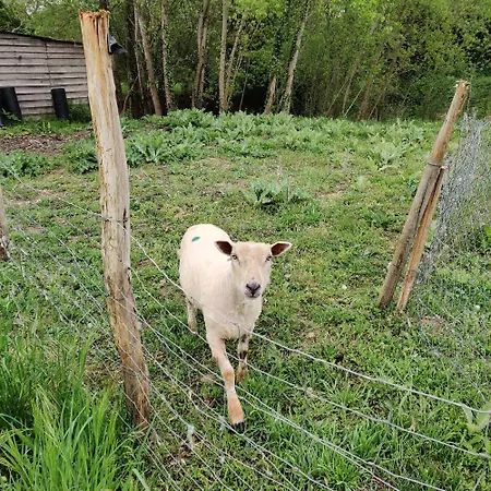 Tipi Dakota Des Monteaux Vivy