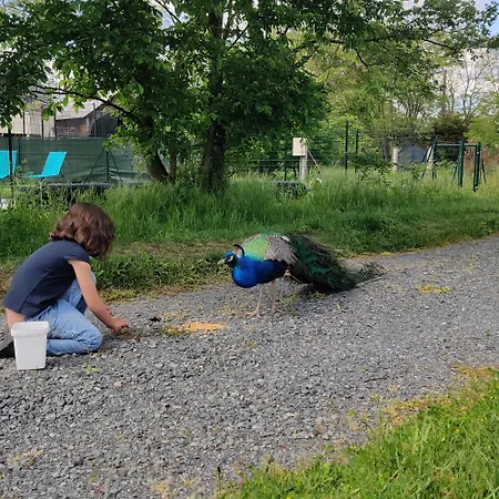 Tipi Dakota Des Monteaux Chalet