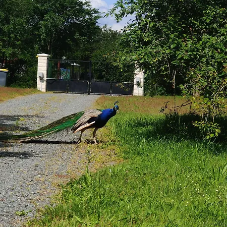 Σαλέ Tipi Dakota Des Monteaux *