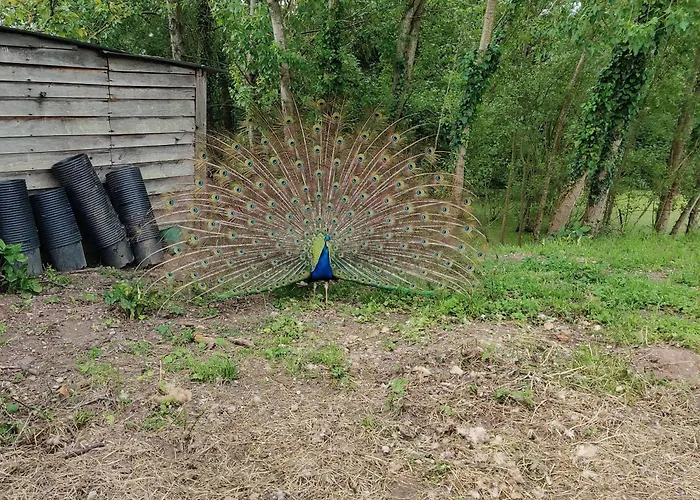 Tipi Dakota Des Monteaux Domek alpejski Vivy