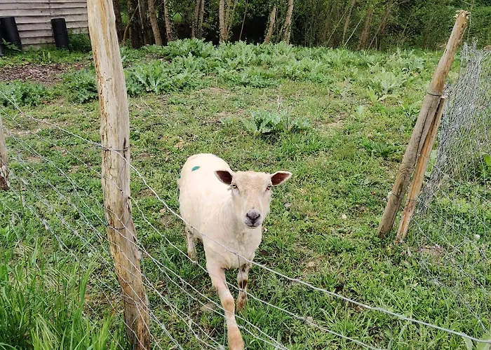 Tipi Dakota Des Monteaux Vivy