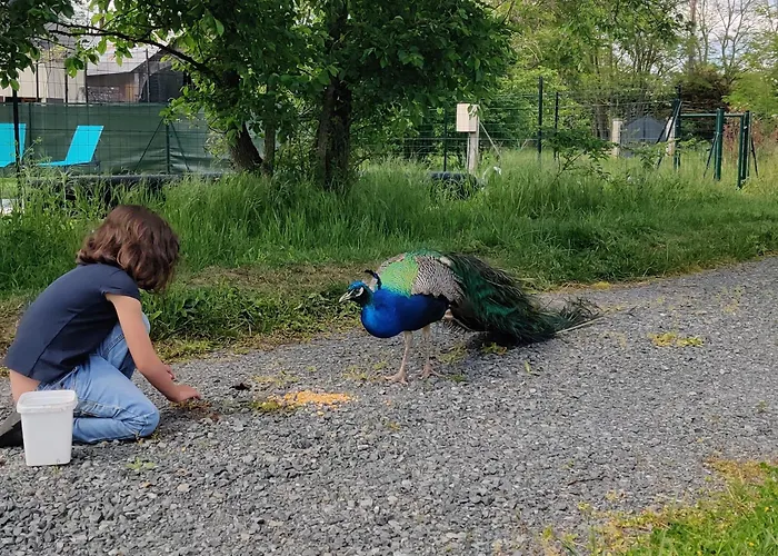 Tipi Dakota Des Monteaux Domek alpejski