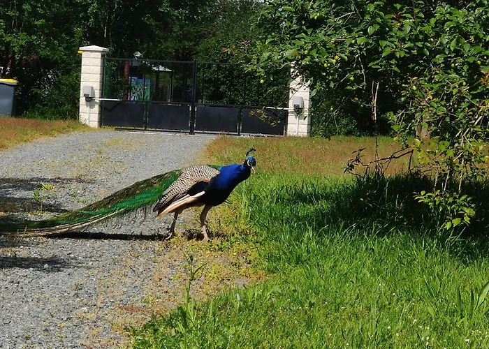 Domek alpejski Tipi Dakota Des Monteaux *